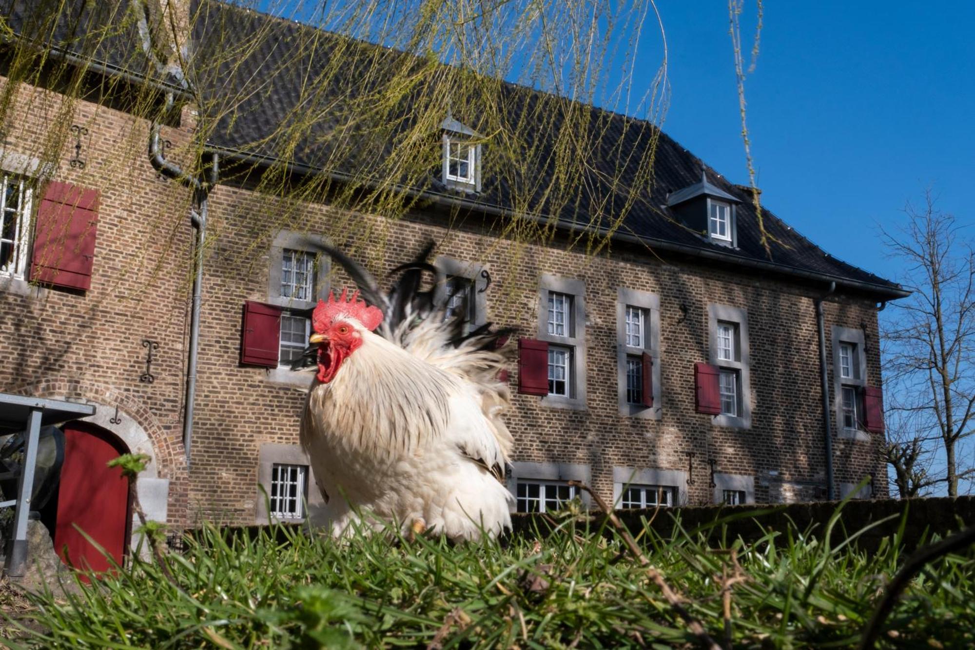 Meschermolen, Overnachten In De Schuur Eijsden Exterior photo