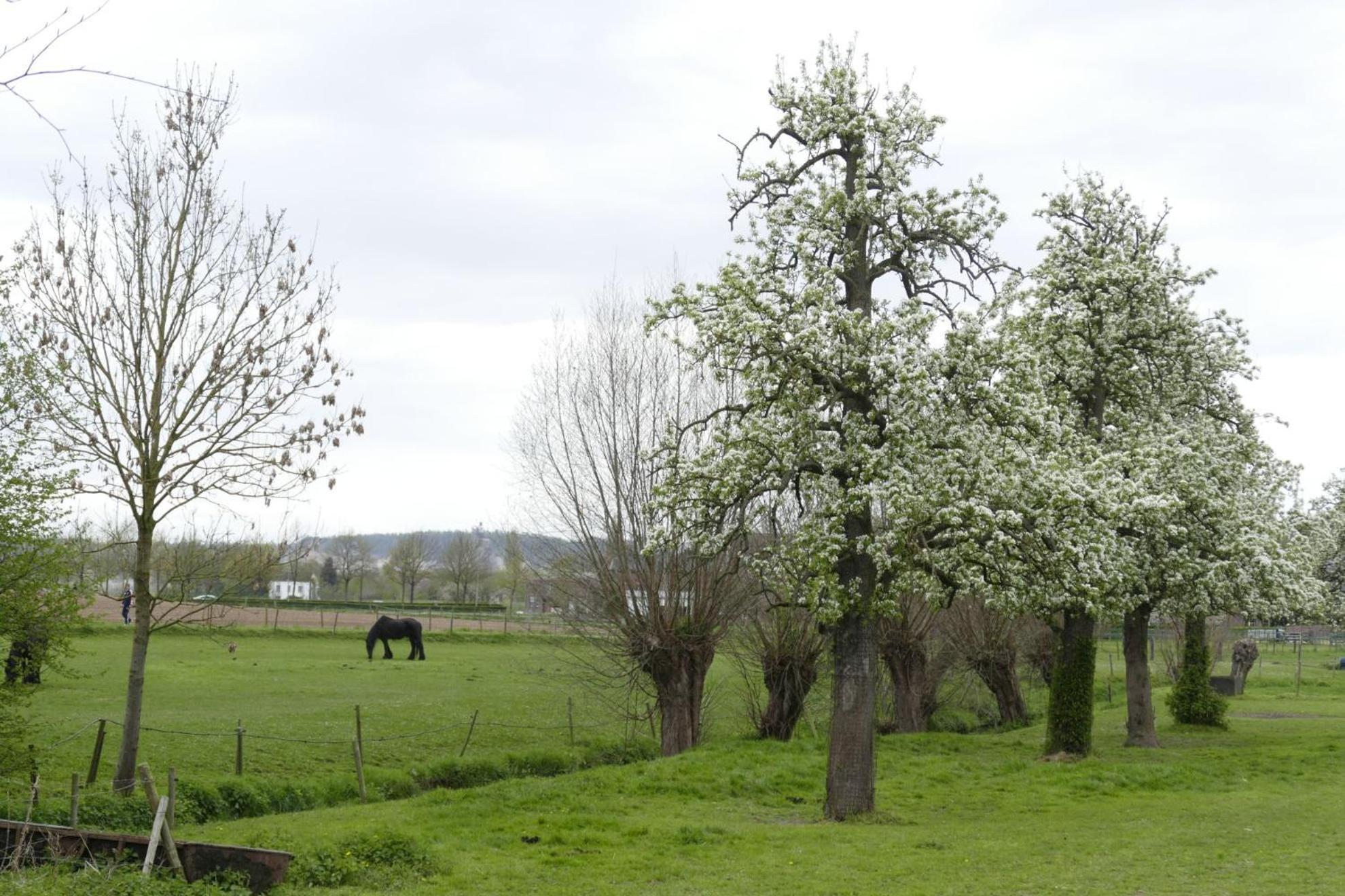 Meschermolen, Overnachten In De Schuur Eijsden Exterior photo